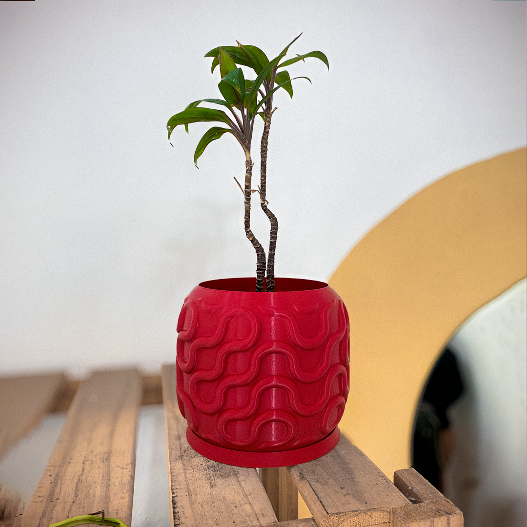 SEAMLESS PLANTER 4 1080